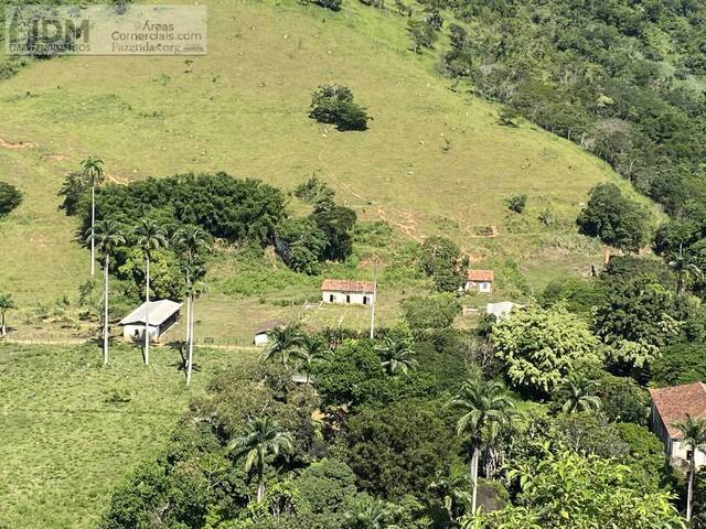 Fazenda Histórica ou Centenária para Venda em São Sebastião do Alto - 4