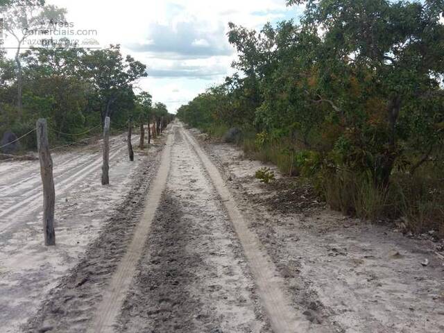 Fazenda para Empreendimento para Venda em São Romão - 4