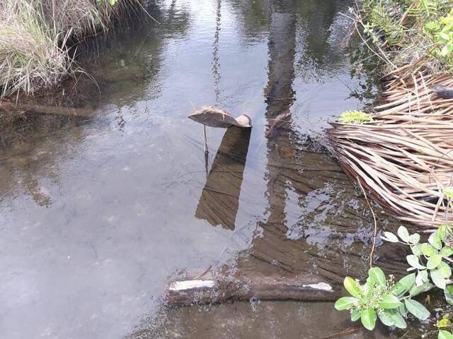 Fazenda para Empreendimento para Venda em São Romão - 5