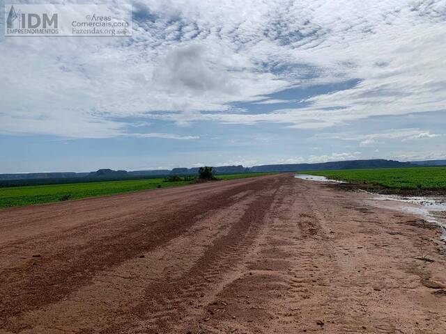 Fazendas Produtoras para Venda em Balsas - 4