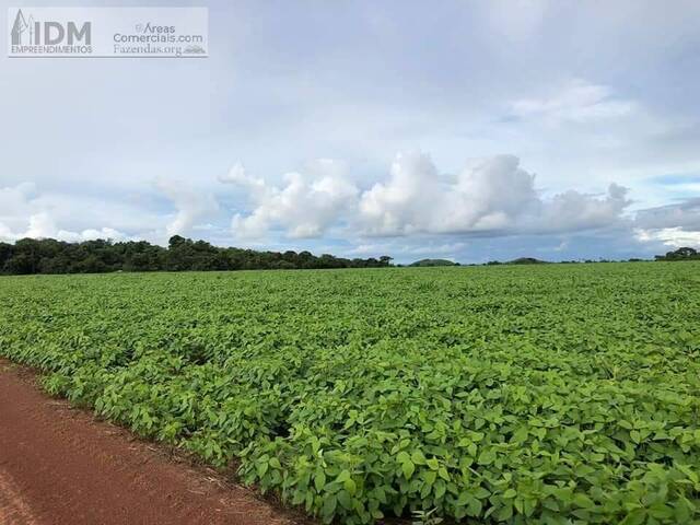 Fazendas Produtoras para Venda em Santa Terezinha - 4