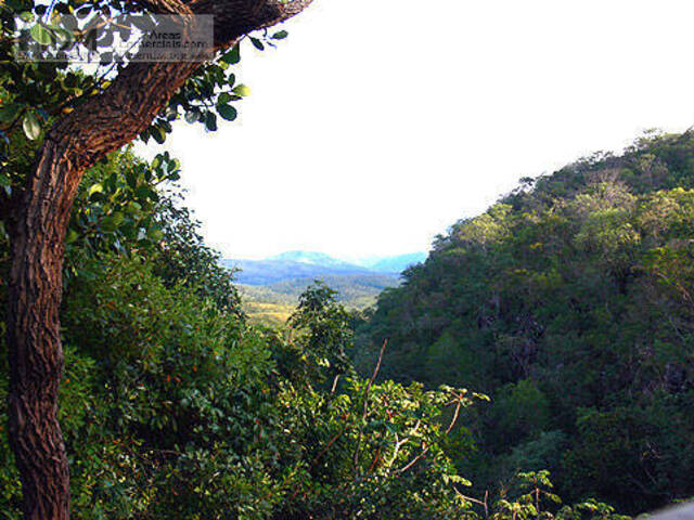 Fazenda para Empreendimento para Venda em Niquelândia - 4