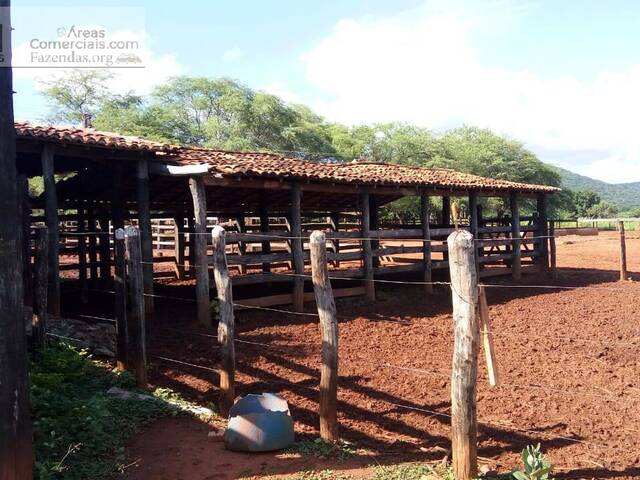 Fazendas Produtoras para Venda em Ibotirama - 4