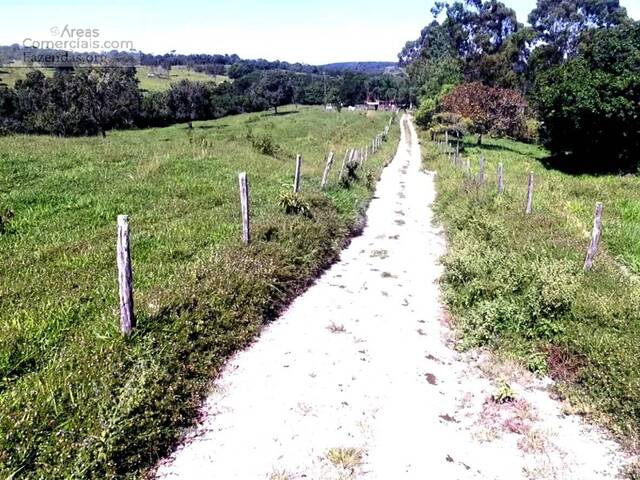 Fazendas Produtoras para Venda em Catalão - 5