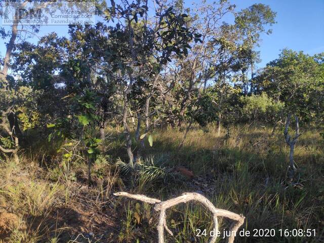 Fazenda para Empreendimento para Venda em Buritizeiro - 4