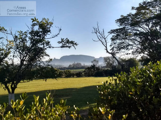 Fazenda para Empreendimento para Venda em Gravataí - 4