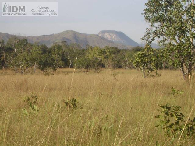 Fazenda para Empreendimento para Venda em Taipas do Tocantins - 4