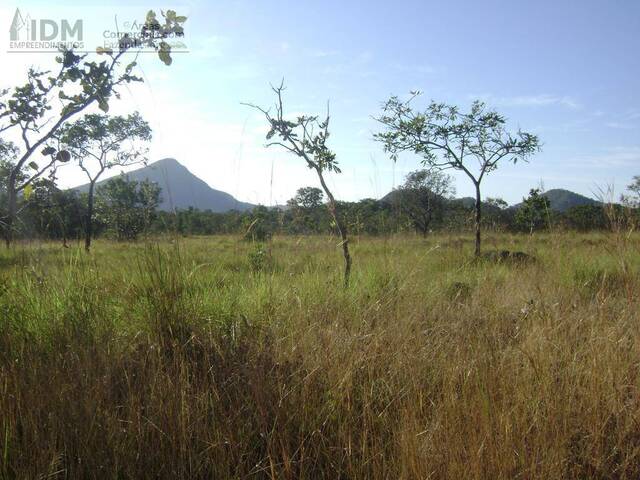 Fazenda para Empreendimento para Venda em Taipas do Tocantins - 5