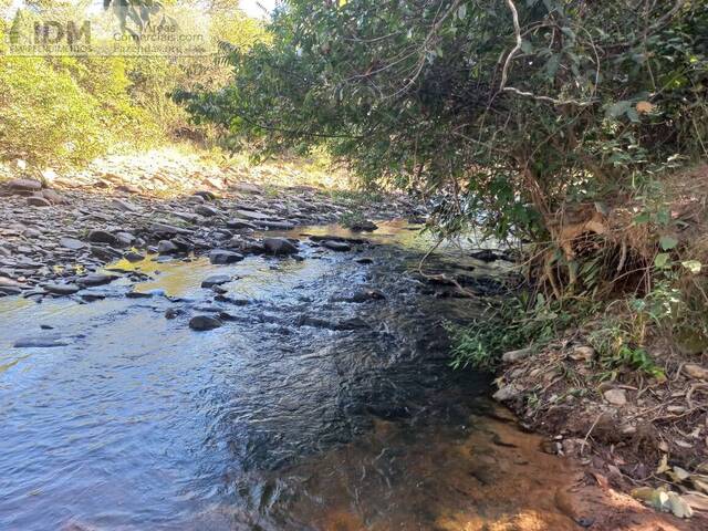 Fazenda para Empreendimento para Venda em Arinos - 4