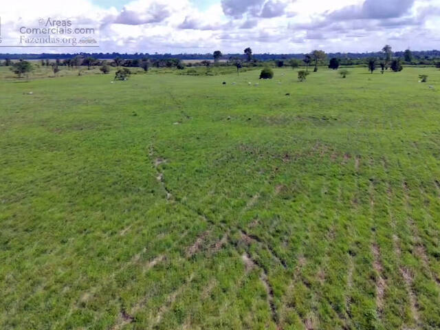 Fazendas Produtoras para Venda em Baião - 5