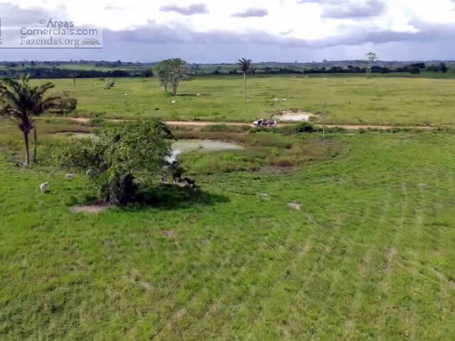 Fazendas Produtoras para Venda em Baião - 4