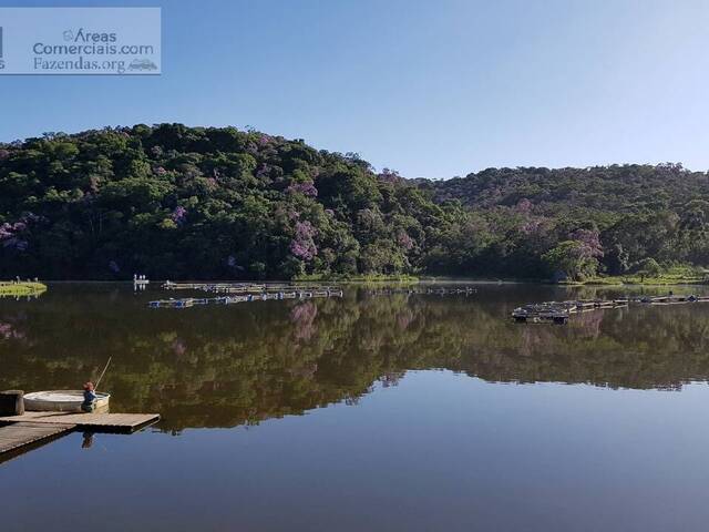 Fazenda para Empreendimento para Venda em Piedade - 4