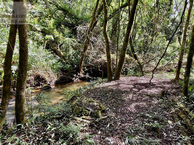 Fazenda para Empreendimento para Venda em Santo Antônio do Pinhal - 4