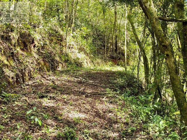 Fazenda para Empreendimento para Venda em Santo Antônio do Pinhal - 5